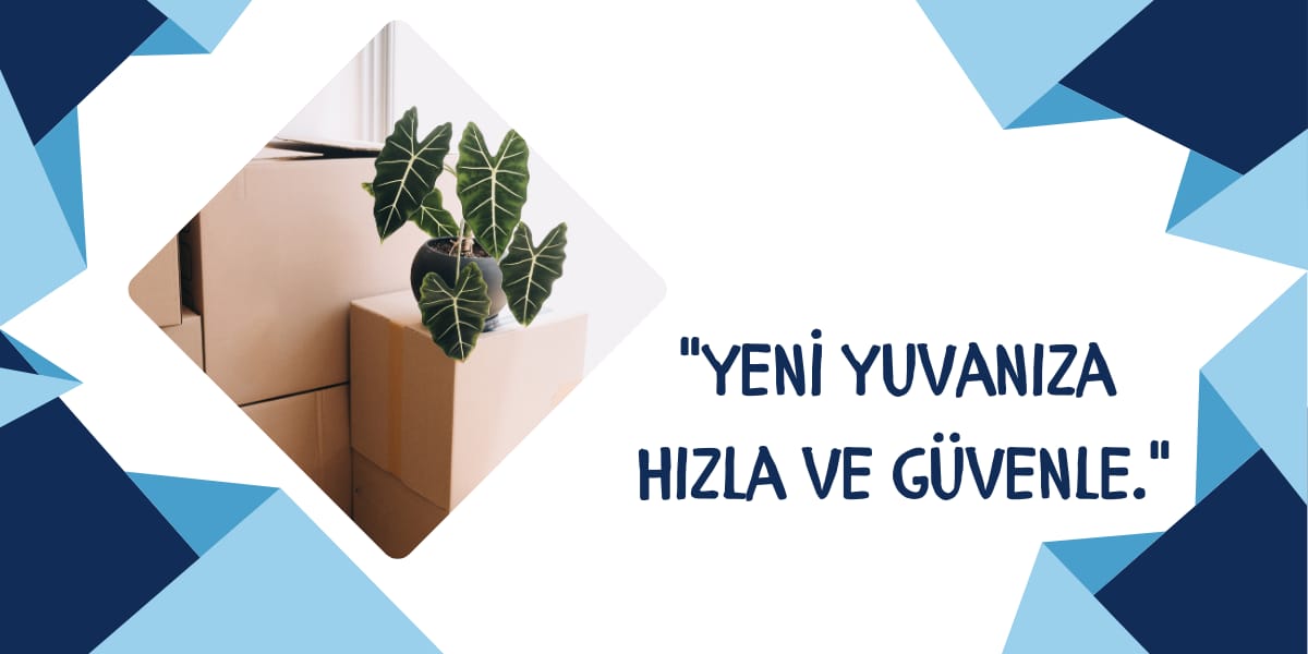 İstanbul Elazığ Ambar